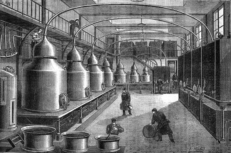 Illustration for article titled Por qué hay botellas de absenta ocultas en los bosques suizos